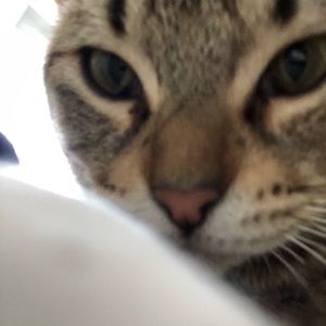 Meet your Posher, Tiffany